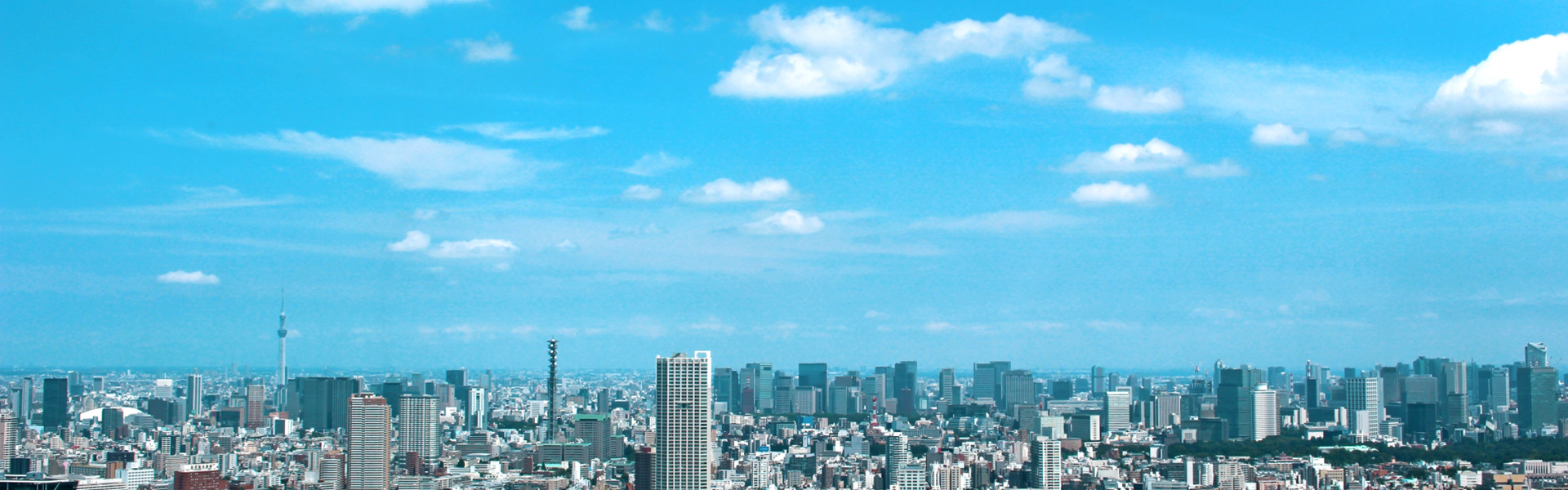 財務・経営サポート by藤原公認会計士事務所